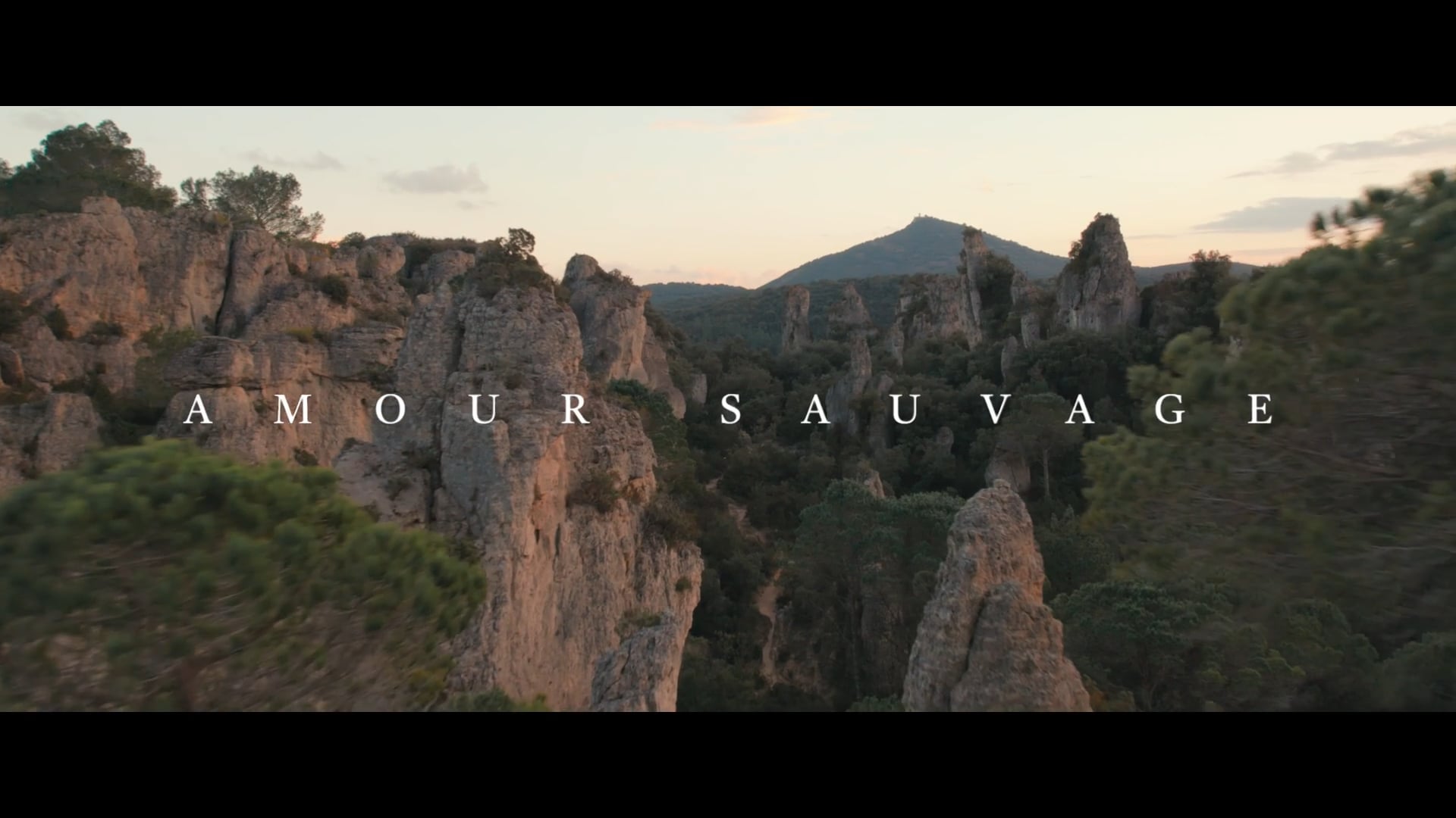 AMOUR SAUVAGE  - Film Inspiration -Appelez-Moi-Madame-WeddingStory