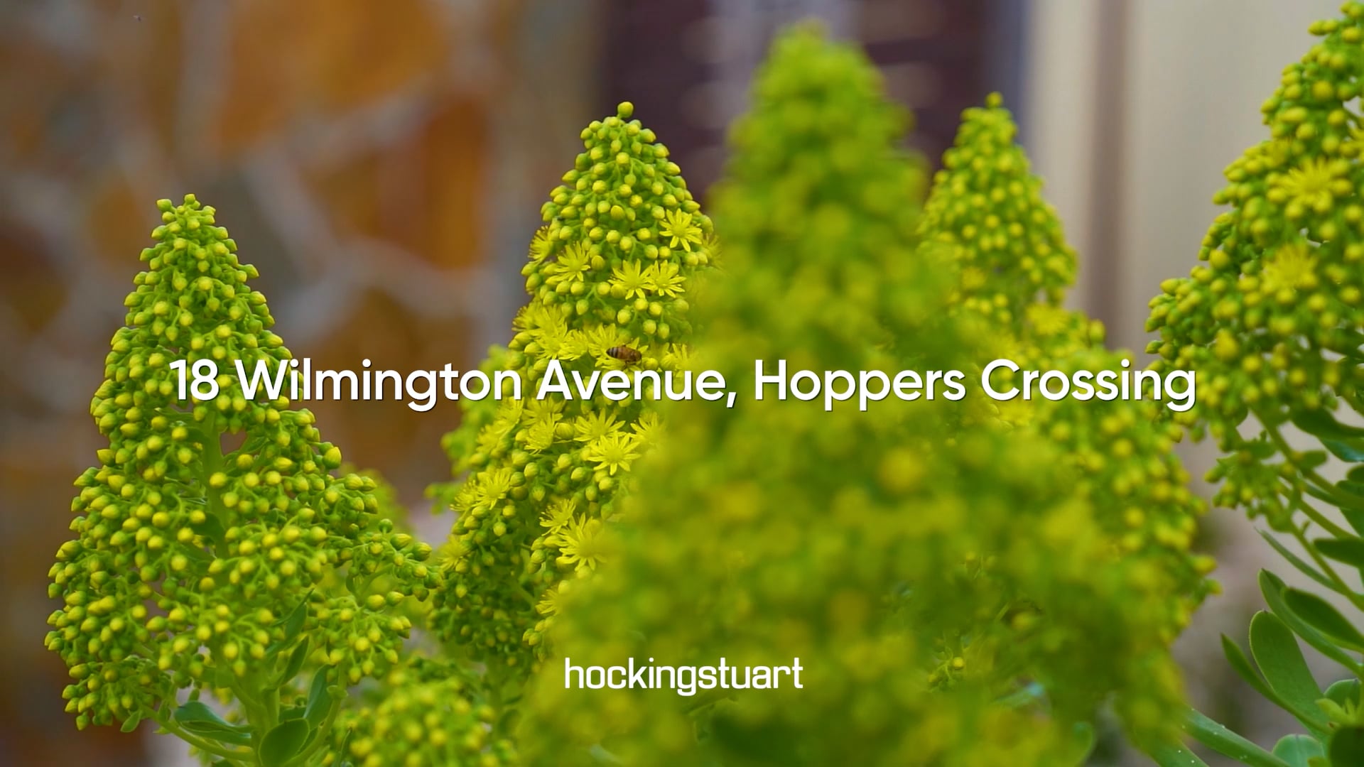 18 Wilmington Ave Hoppers Crossing on Vimeo