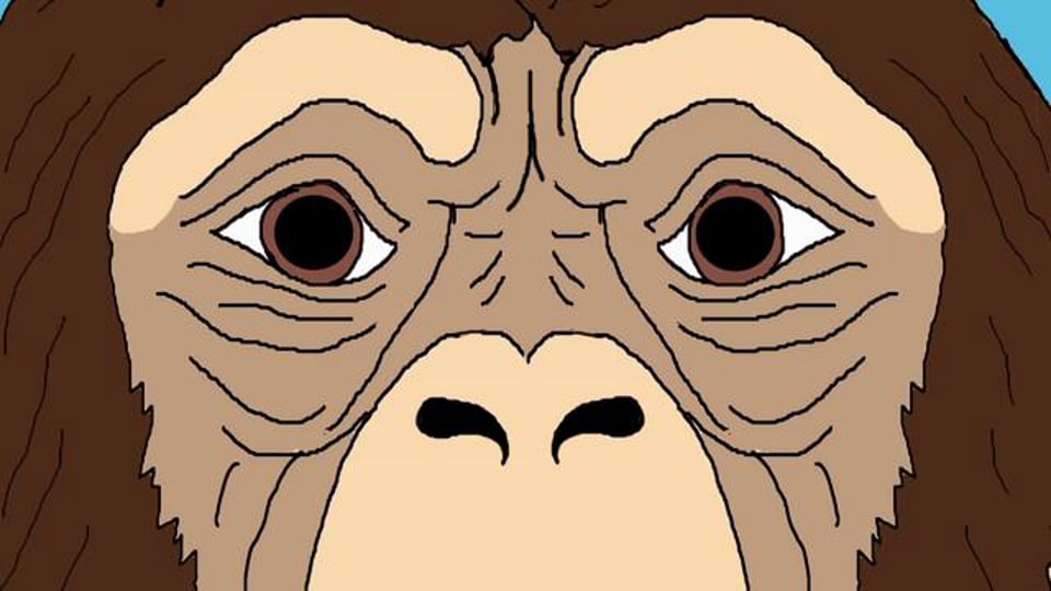 Kivitetyn apin teoria