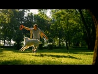 Dog Behaviour: Welcome to Dog Behavior &amp; Training Course