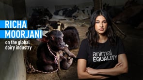 Actress Richa Moorjani on the Global Dairy Industry