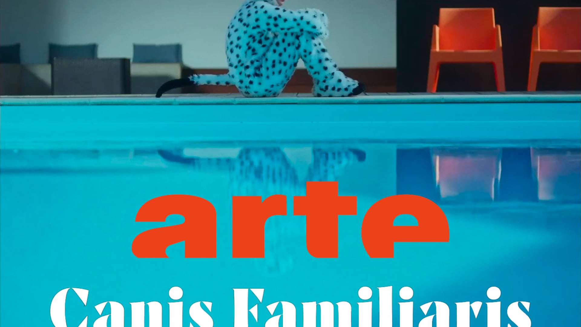 Canis Familiaris
