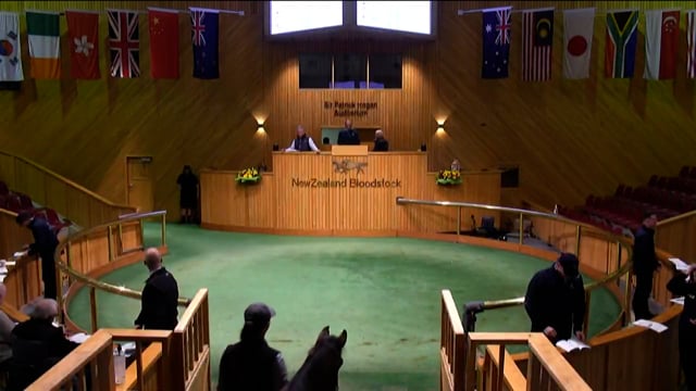 2023 National Weanling & Broodmare Sale - Lots 38 - 49