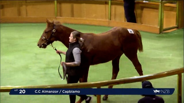 2023 National Weanling & Broodmare Sale - Lots 20 - 29