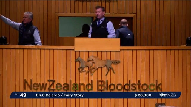 2023 National Weanling & Broodmare Sale - Lots 49 - 56