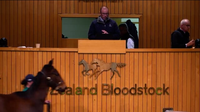 2023 National Weanling & Broodmare Sale - Lots 77 - 87