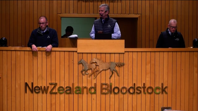 2023 National Weanling & Broodmare Sale - Lots 160 - 166