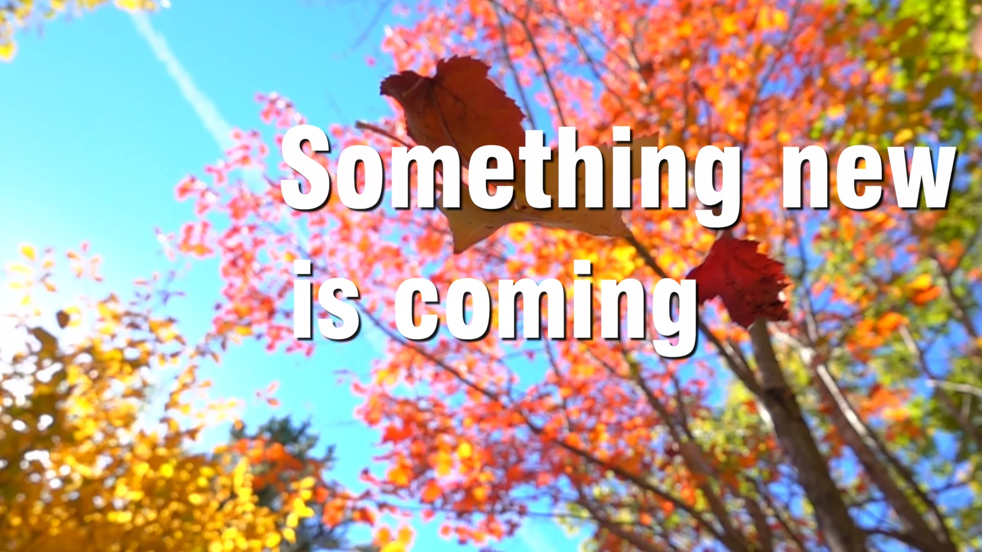 Fall Fest Teaser on Vimeo