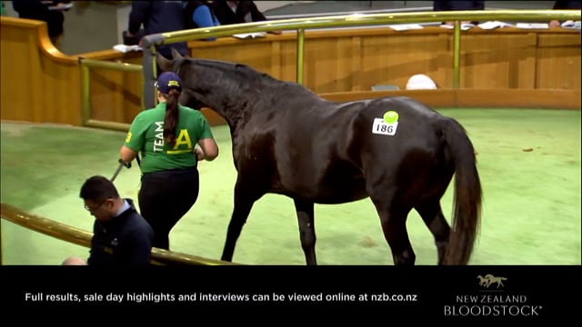 2023 National Weanling & Broodmare Sale - Lots 186 - 195