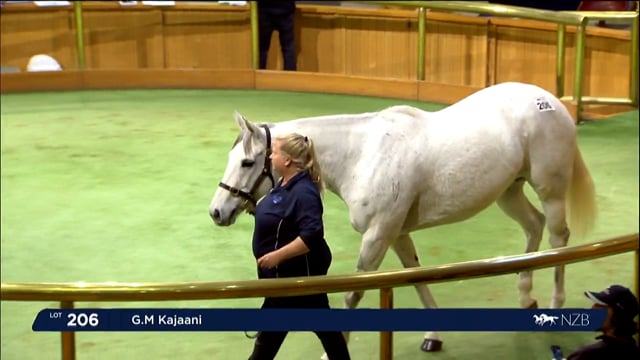 2023 National Weanling & Broodmare Sale - Lots 206 - 214