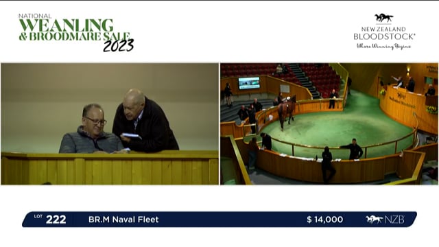 2023 National Weanling & Broodmare Sale - Lots 222 - 230