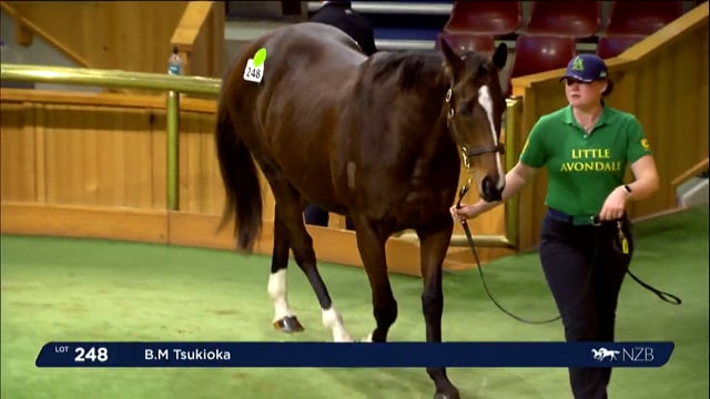 2023 National Weanling & Broodmare Sale - Lot 248 - End of Day