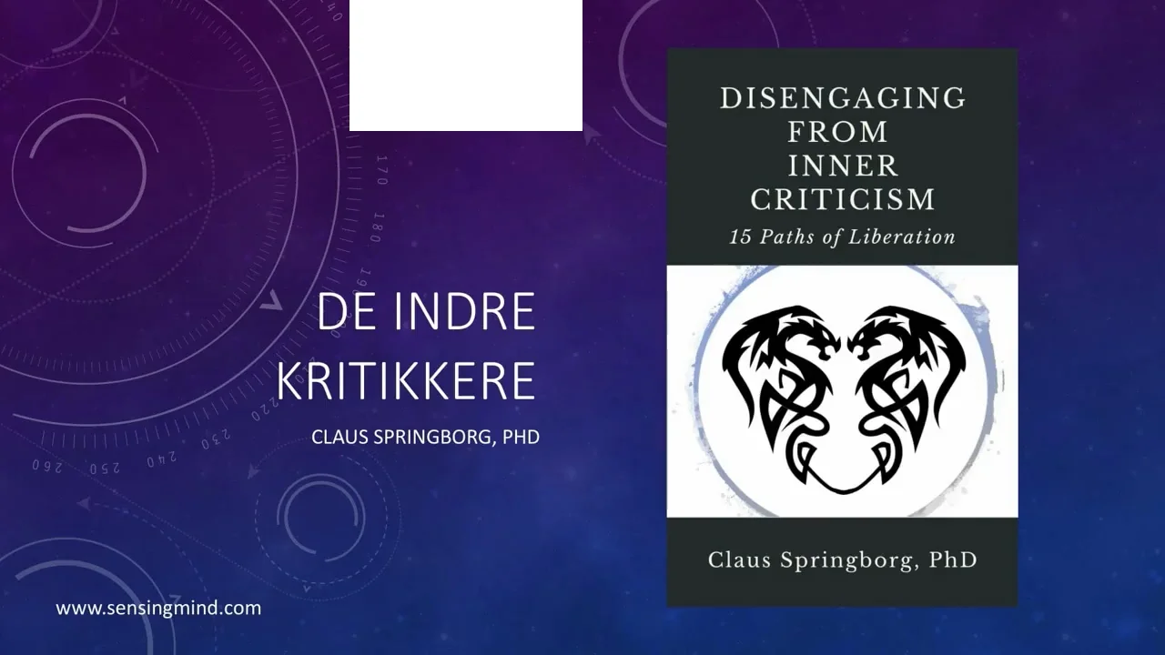 Foredrag med Claus Springborg - De indre kritikere on Vimeo