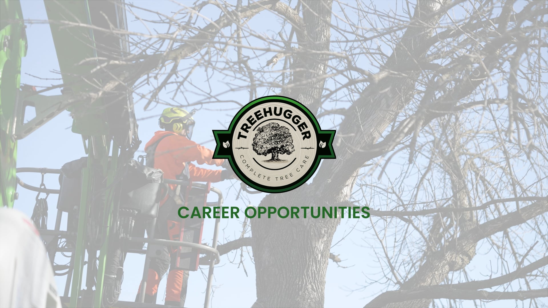 Careers in Arboriculture | TreeHugger Crew