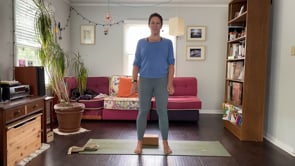 Resilience: Whole Body