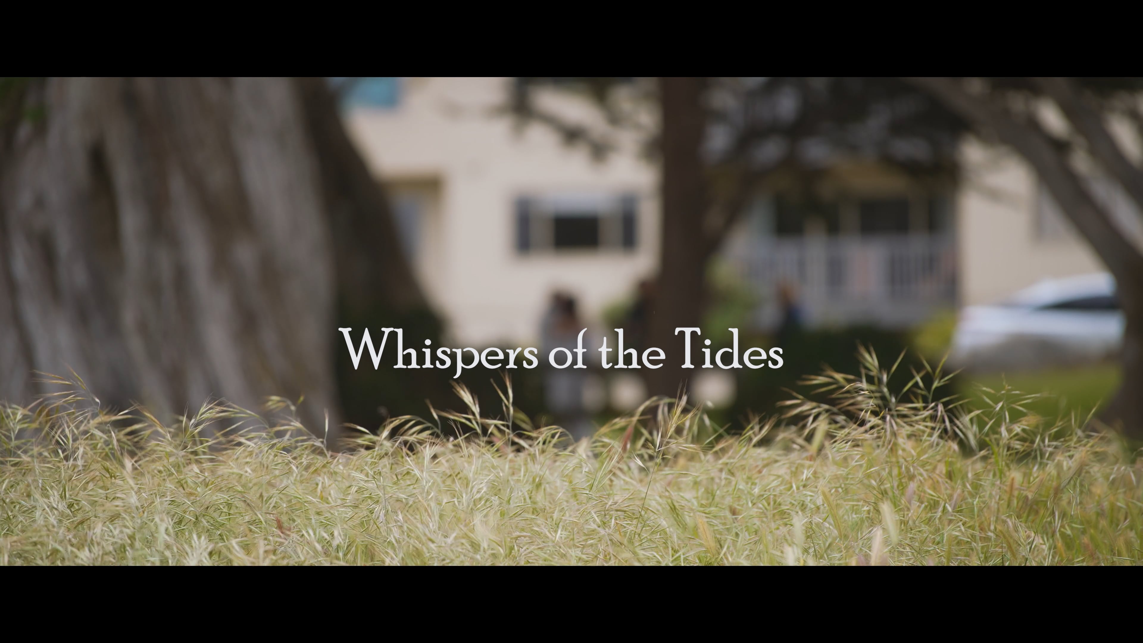 Oceanside Wedding - Cinematic Highlight Reel // 4K