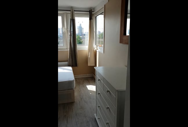 Clean and tiny house mate wanted Main Photo