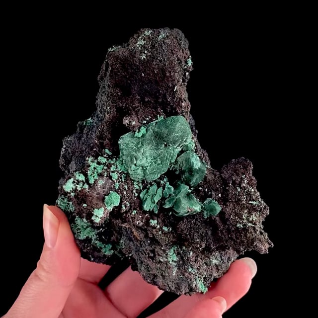 Malachite pseudomorph after Azurite (fine rare locality specimen)