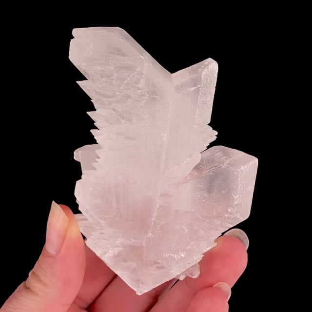 Gypsum var: Selenite (''fishtail'' twin)