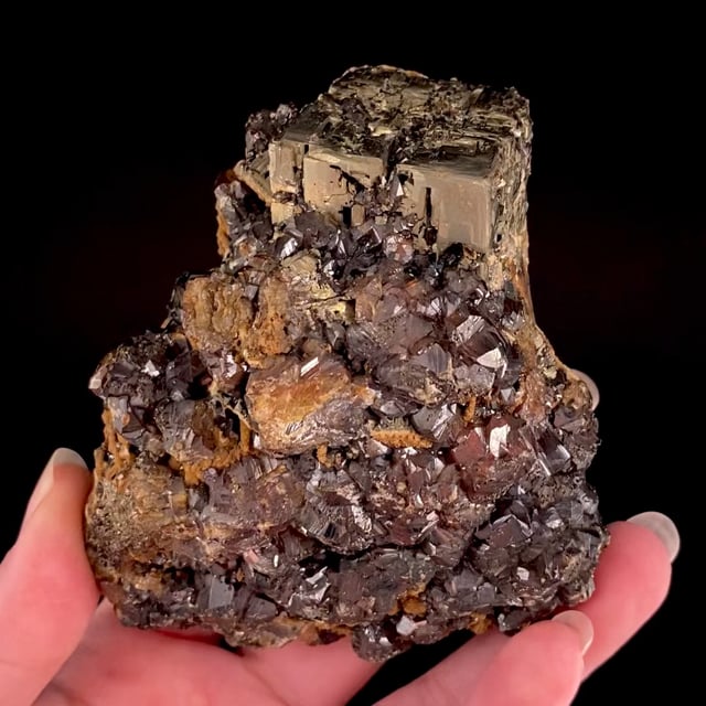 Pyrite (unique form) with Sphalerite