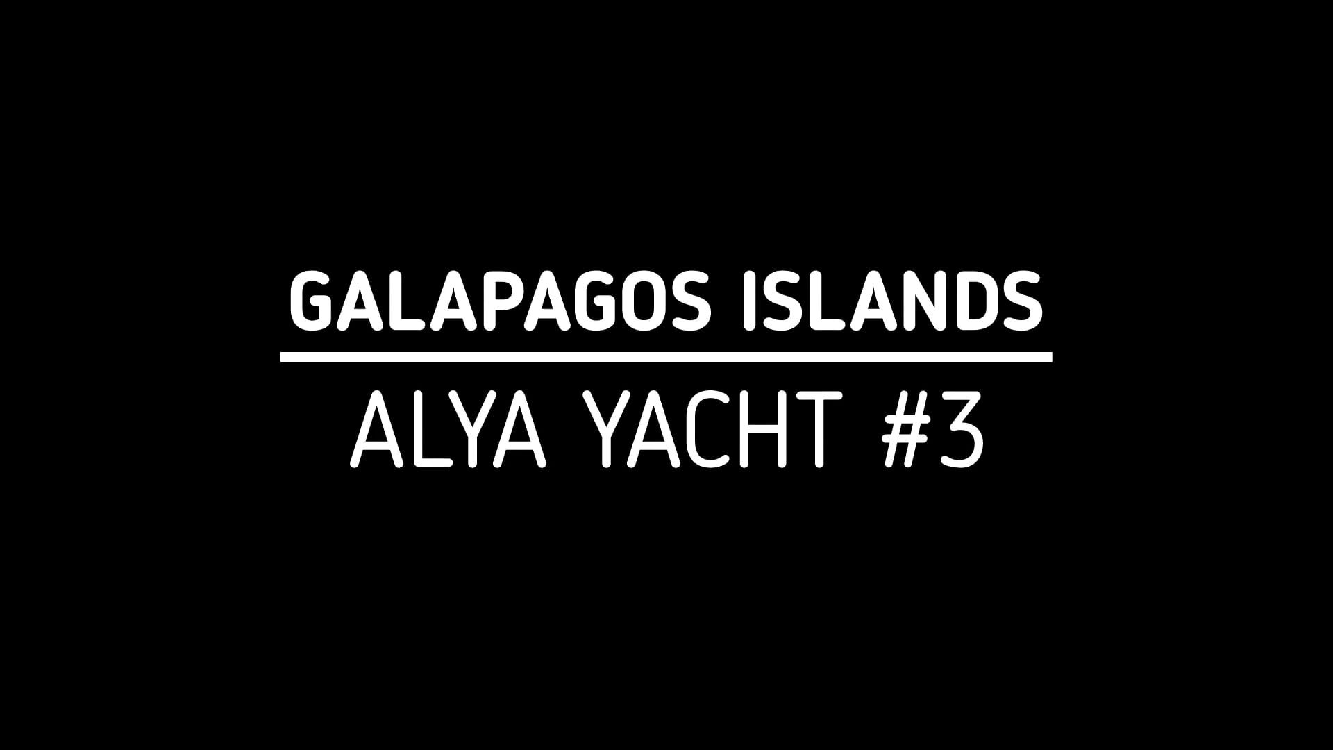 Galapagos Islands Part 3