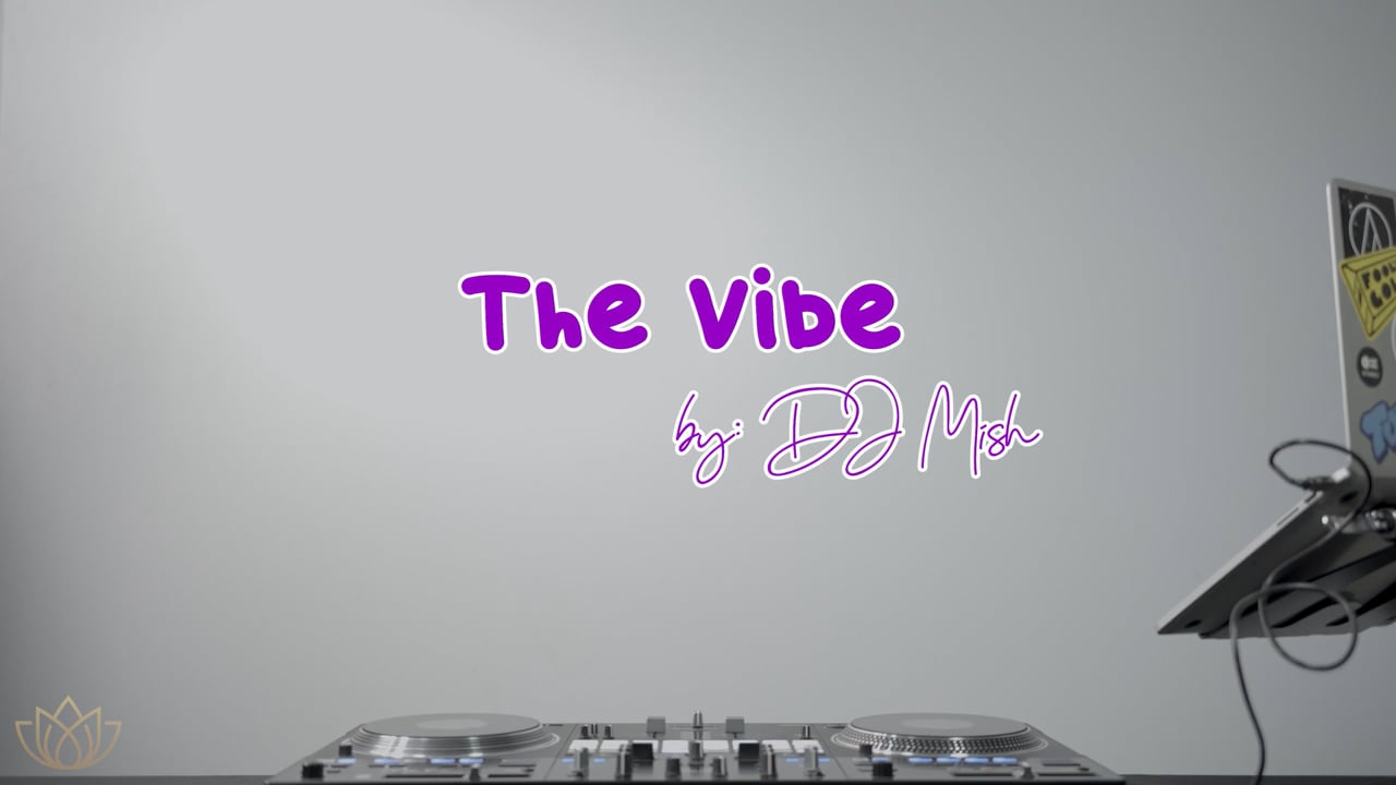 DJ Mish live — The Vibe