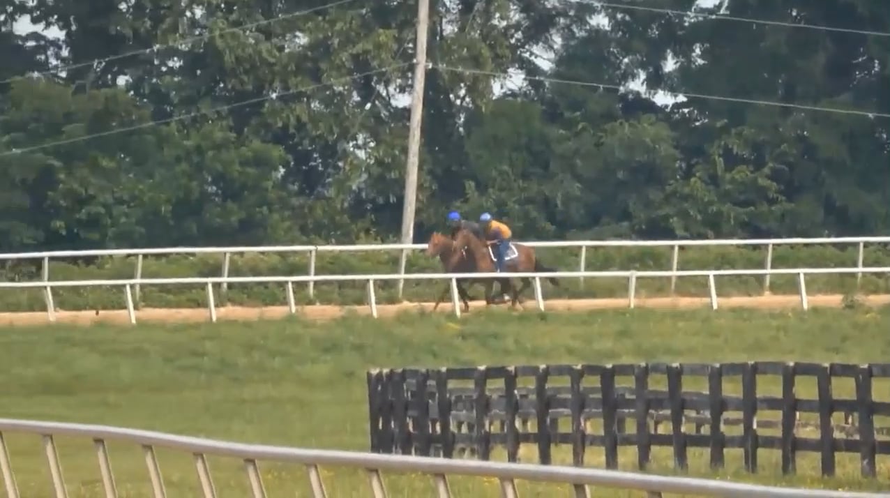 Hyperbolize Breezing at Silver Springs - June 16, 2023 on Vimeo
