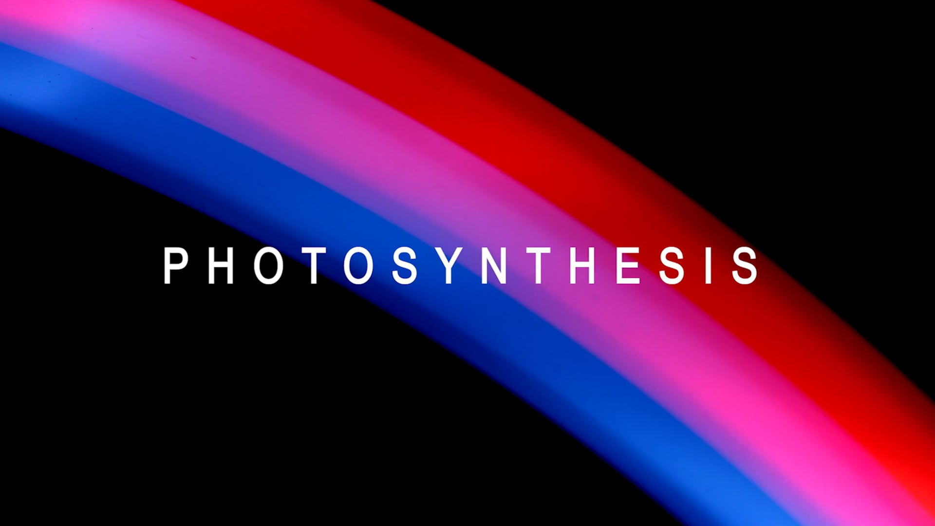 PHOTOSYNTHESIS (Teaser)