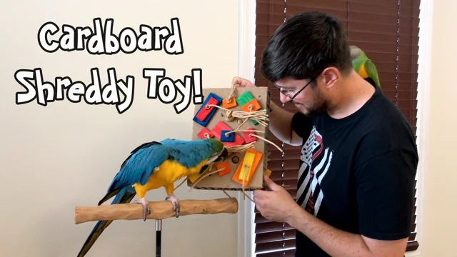 Blue and gold macaw toys best sale