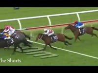 Pierata - The Perfect Prospect
