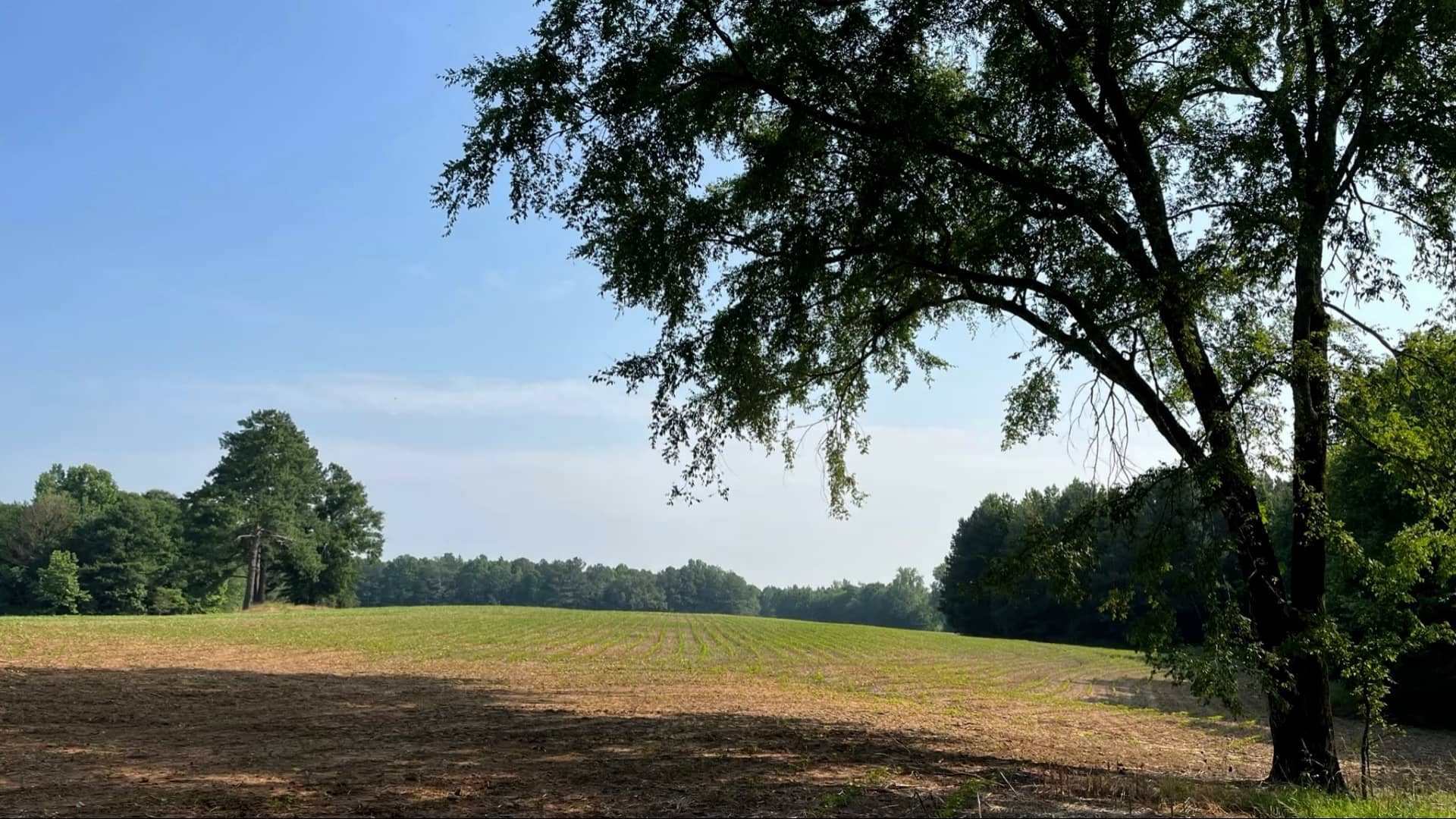 122 +/ Acres Lawrence County, AL on Vimeo