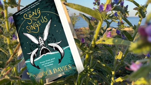 Vimeo Thumbnail (API)