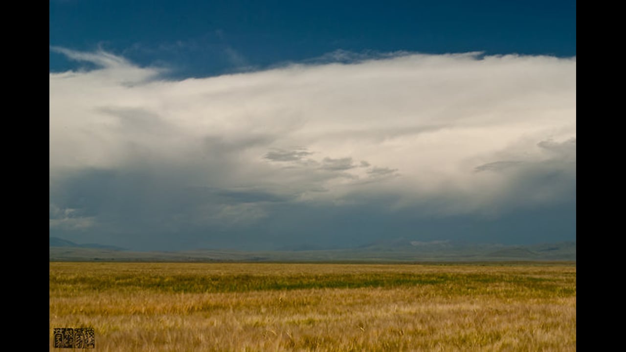 Montana