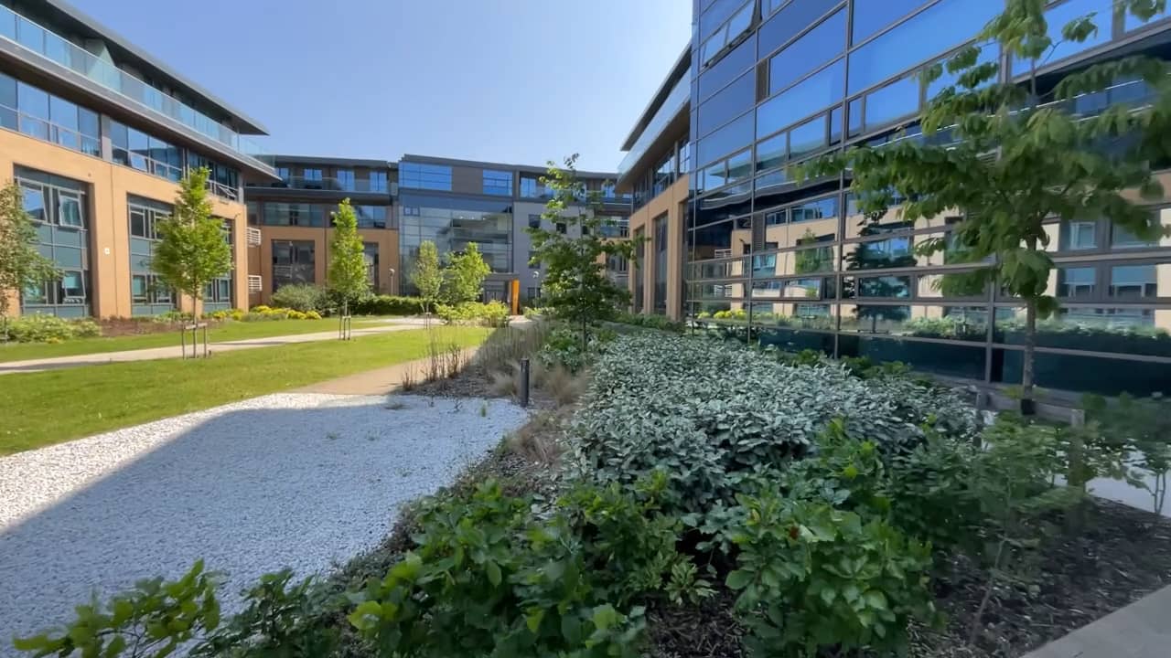 Blu Bracknell 720p on Vimeo