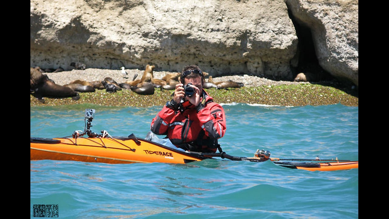 Recap Wild Image Project 2009