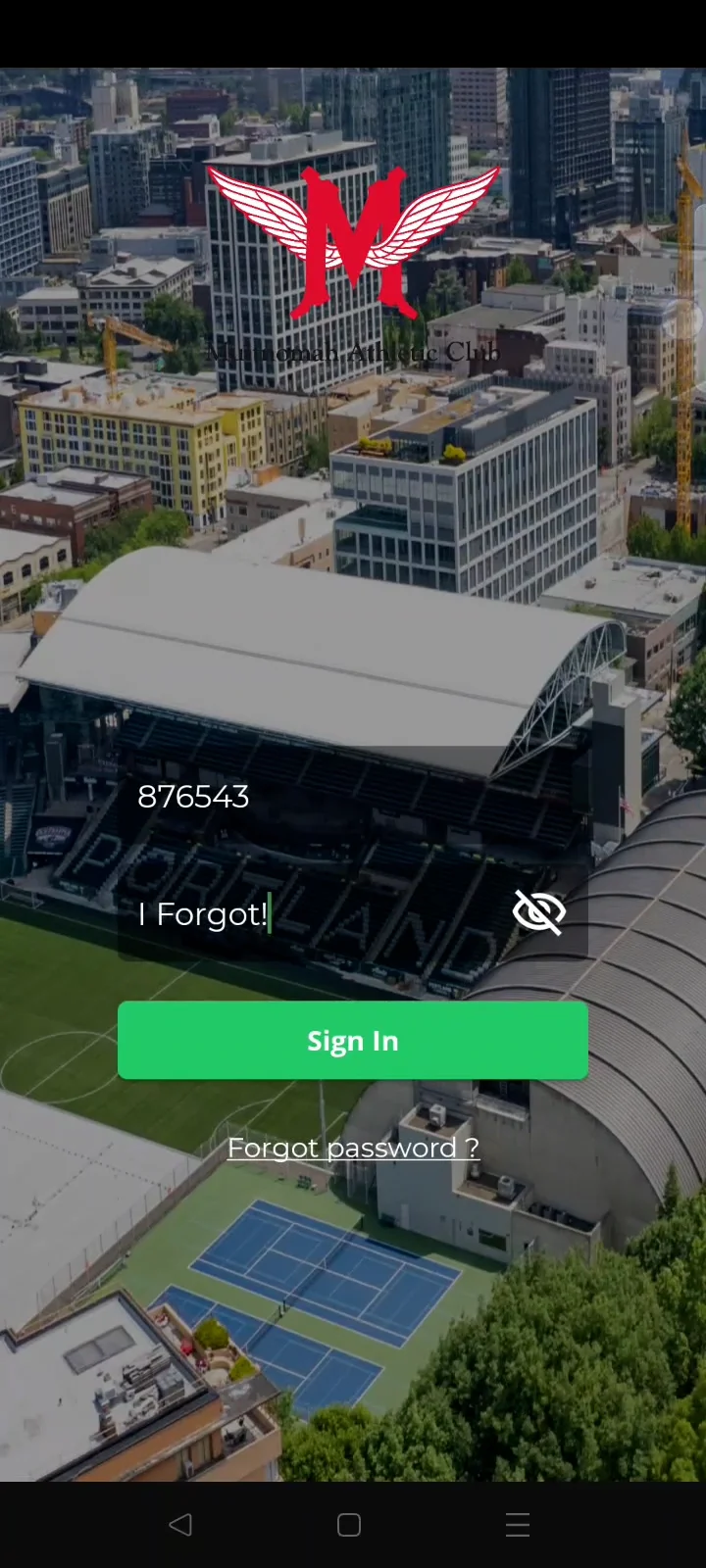 How to Reset Your Password on Vimeo