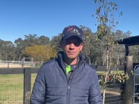 Shamus Award x Fabulosa 21 Colt - Comments from Breaker - Sam Fasher