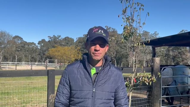 Shamus Award x Fabulosa 21 Colt - Comments from Breaker - Sam Fasher