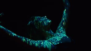 The Vivid Abyss - Imaginaria - Adam Schneideman