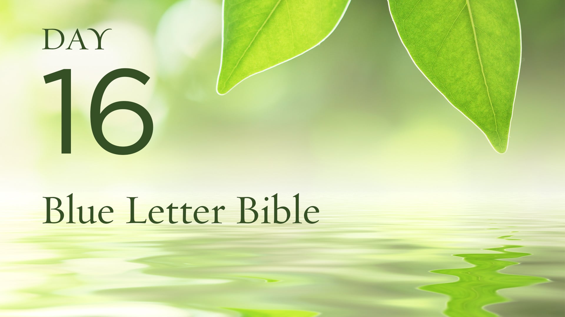 day-16-blue-letter-bible-on-vimeo