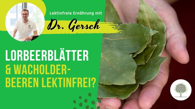 Sind Lorbeerblätter und Wacholderbeeren lektinfrei?