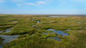 VON MEER & LAND & MENSCHEN / Das Kooperationsprojekt Wurster Nordseeküste