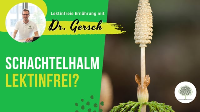 Video: Ist Schachtelhalm lektinfrei? 