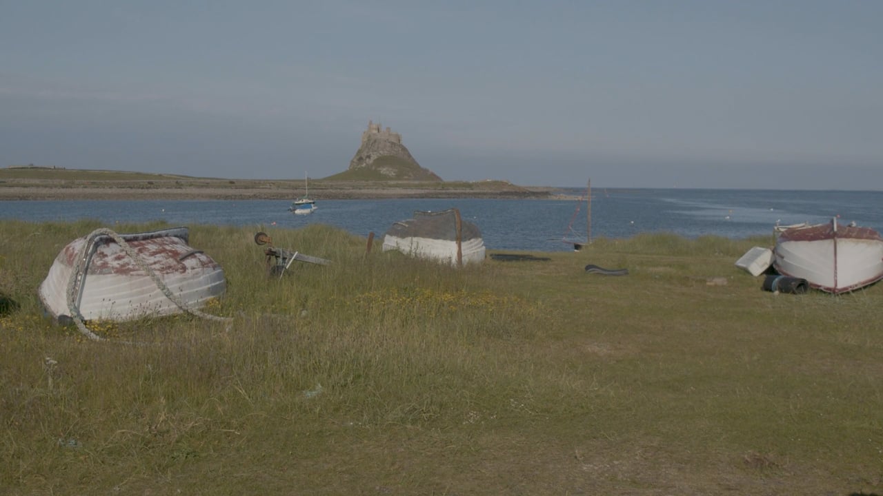 Stories of Loss and Love, a video by Ceri Morgan and Pawas Bisht