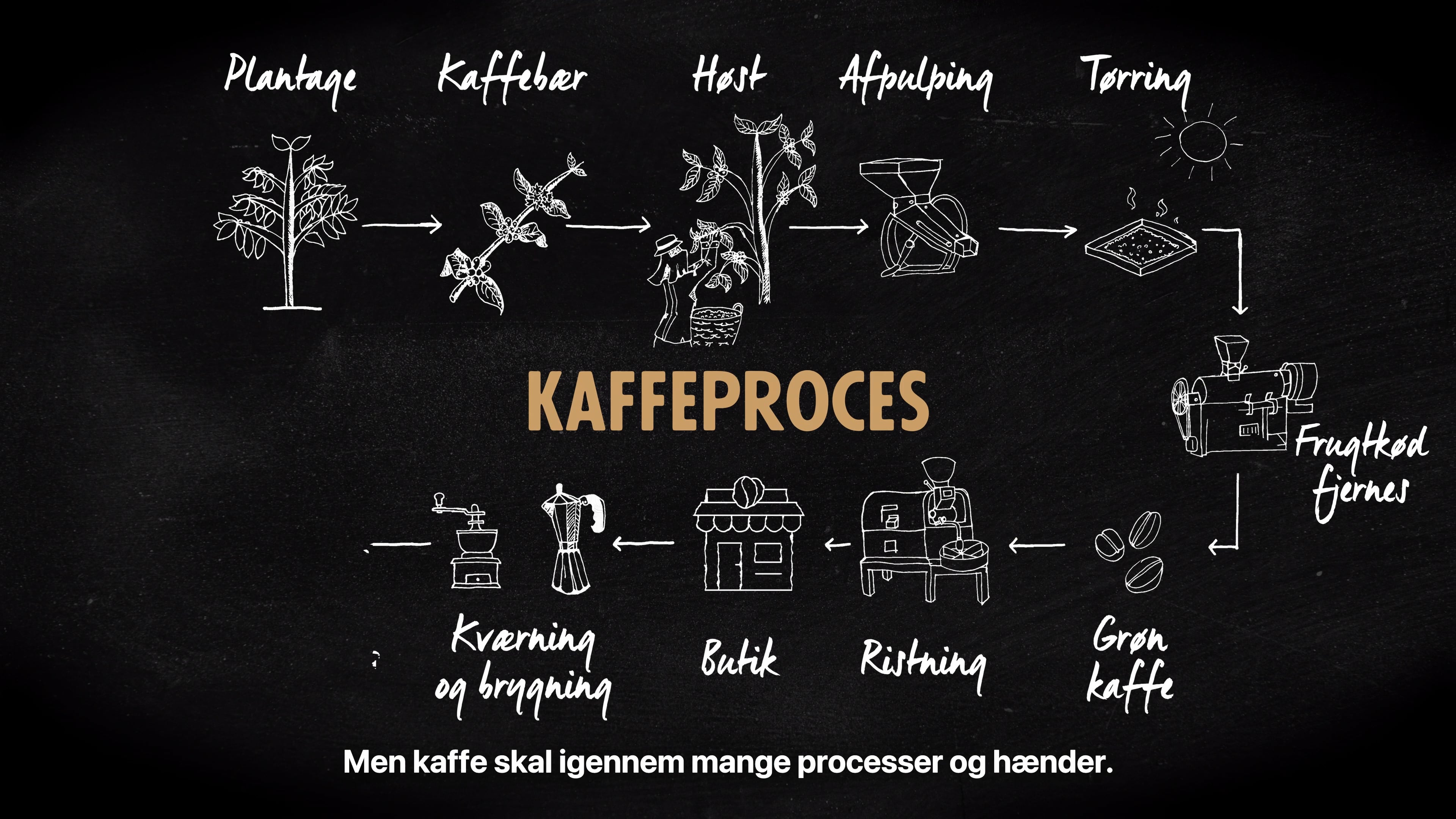 Kaffens Proces On Vimeo