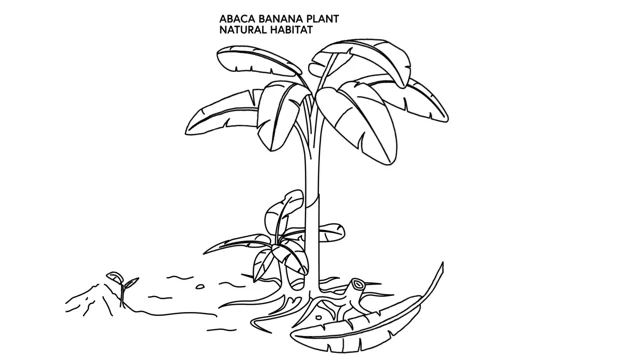 Stella McCartney launches bag crafted from banana plants