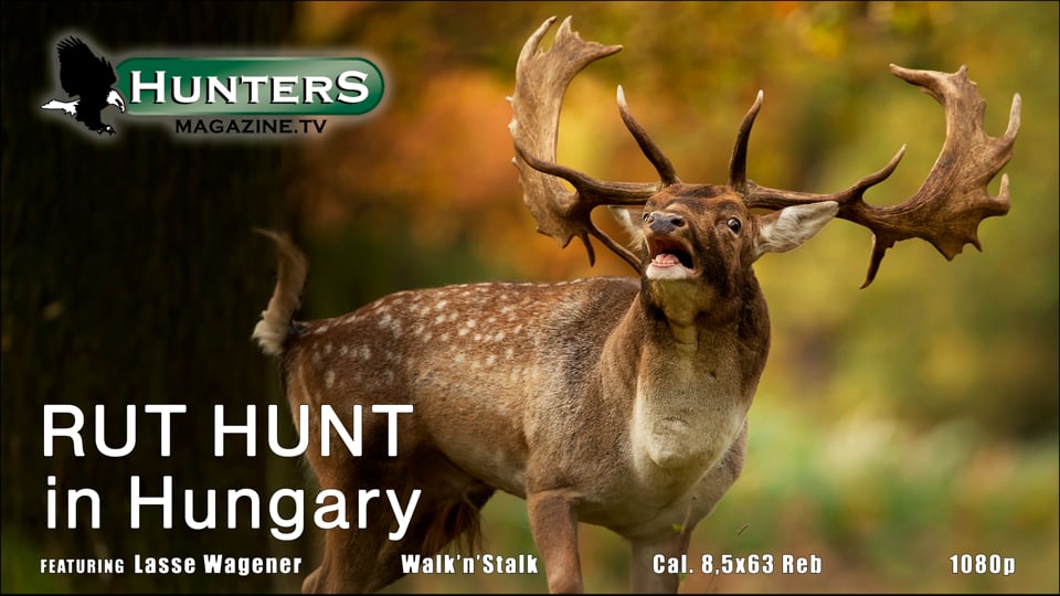 Rut Hunt Hungary