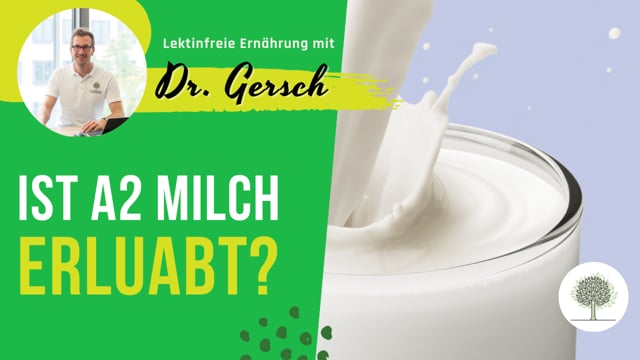 Ist A2 Milch auf der lektinfreien Ernährung erlaubt?