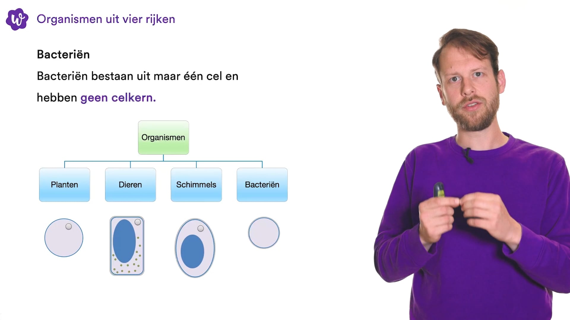 organismen-indelen-oefenen-studygo