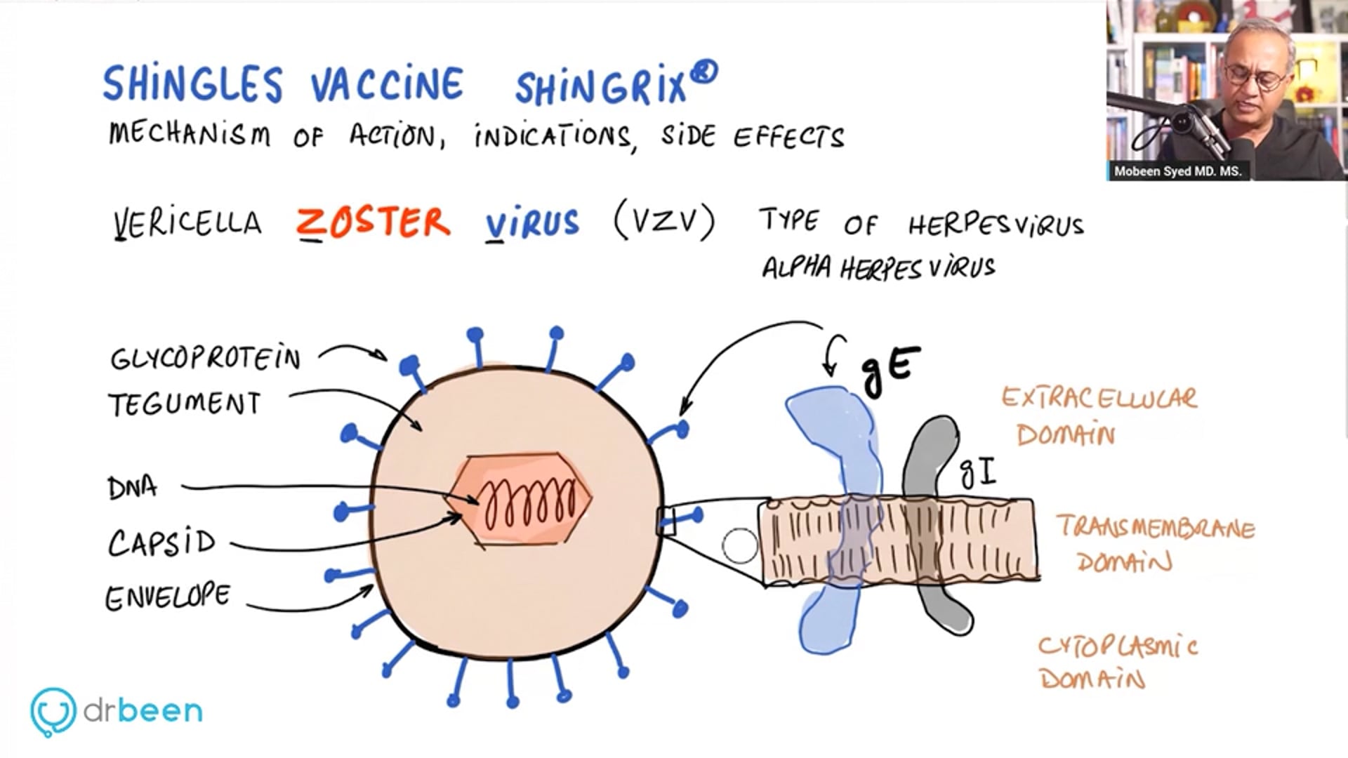 Shingles Vaccine Shingrix - Indications, Mechanism, and Side Effects